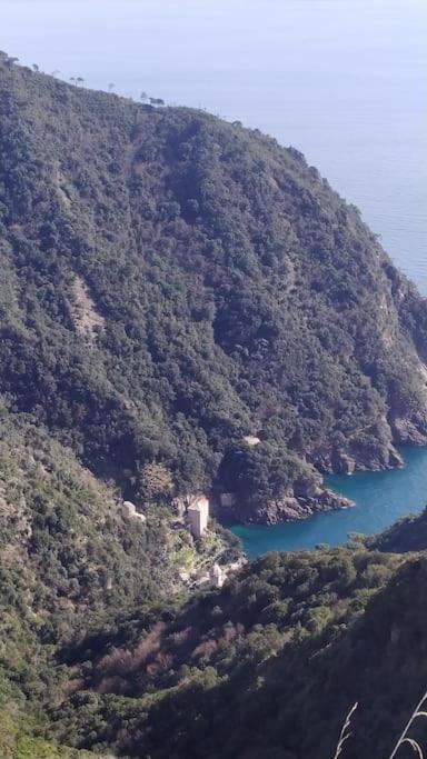 Apartament Casa Al Mare A Recco Zewnętrze zdjęcie