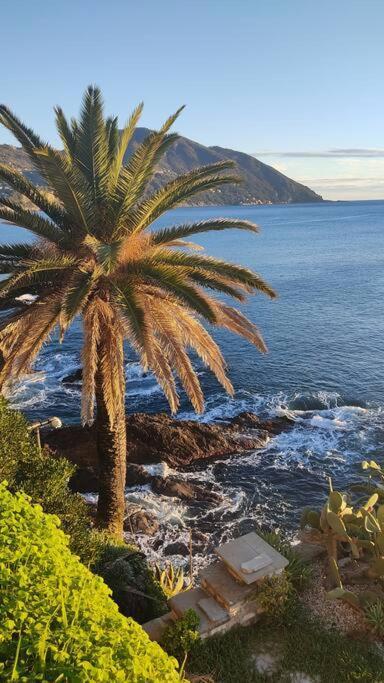 Apartament Casa Al Mare A Recco Zewnętrze zdjęcie