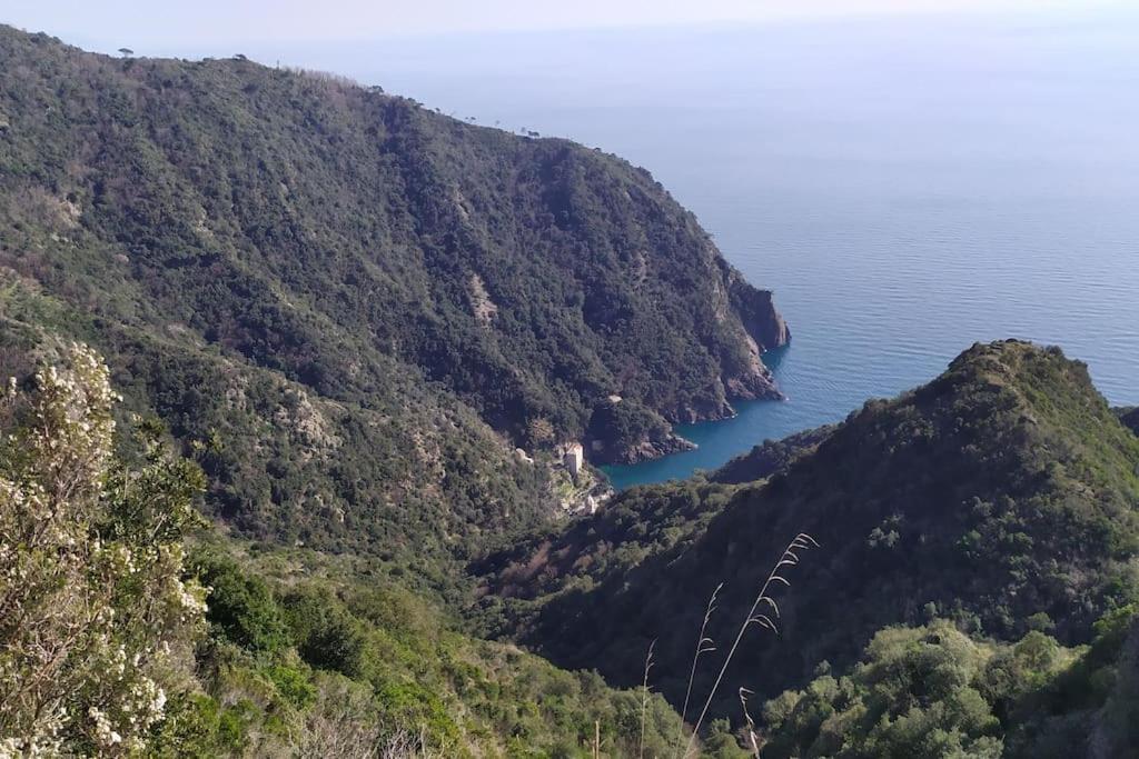 Apartament Casa Al Mare A Recco Zewnętrze zdjęcie